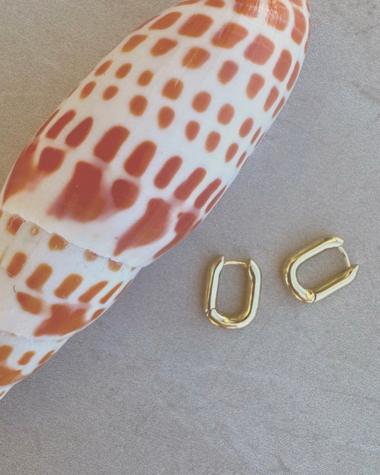 Ally Earrings